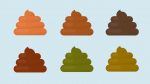 Il colore delle feci. Quale significato ?
