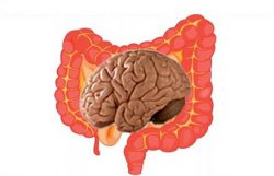 Stomaco, colon o …ANSIA !